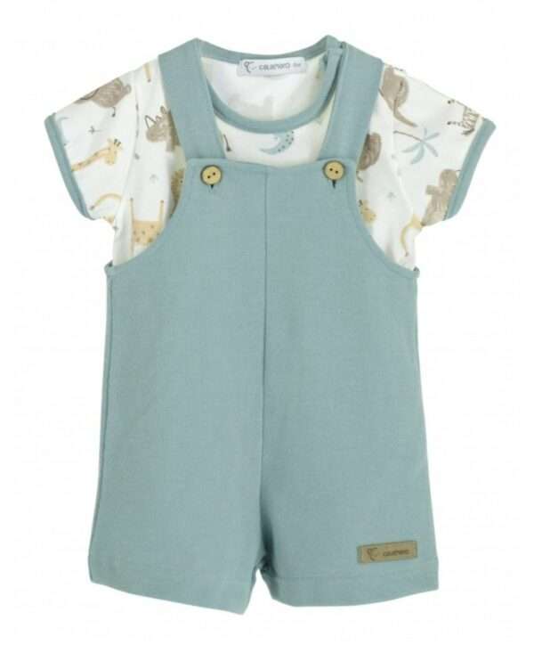 conjunto
