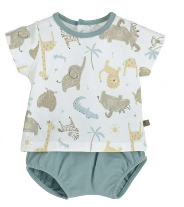 conjunto